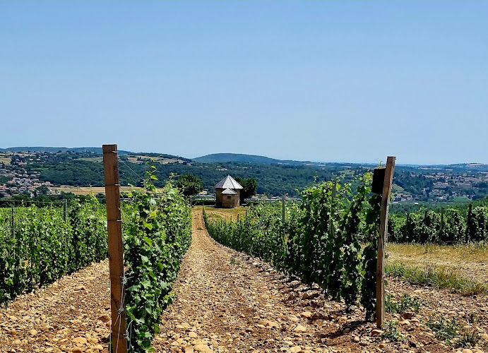 Domaine de la Petite Gallée - Famille THOLLET