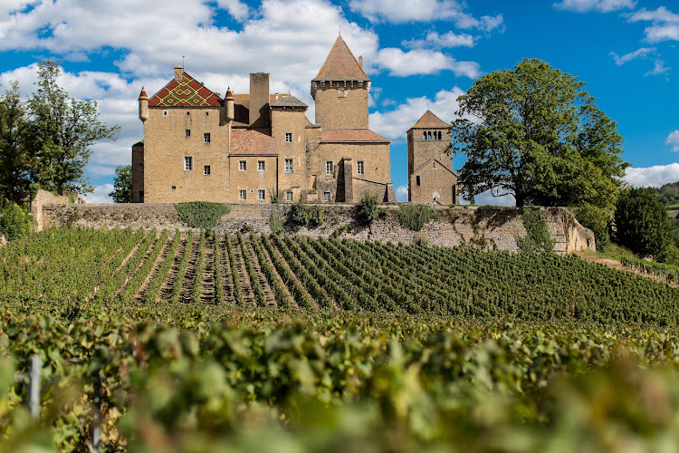 Château de Pierreclos