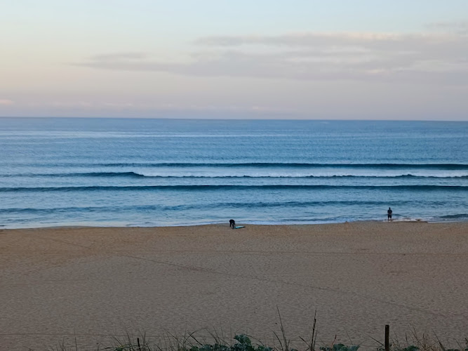 Skeepskool Ecole de Surf Plage Centrale du Porge