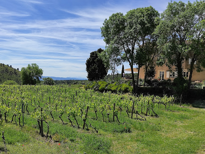 Château La Villatade : Dégustation vin Carcassonne | Gîte Carcassonne