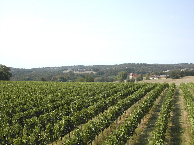 Château Corbiac Pécharmant Grand Vin