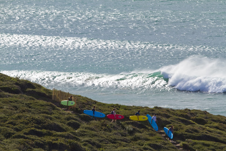 Mahi-Mahi Surf School, école et cours de surf de Biarritz