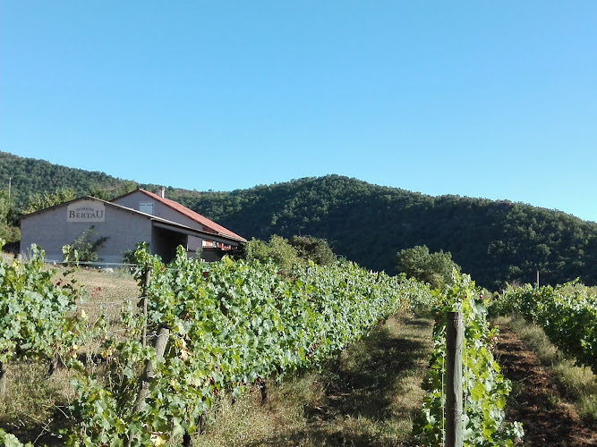 Domaine BERTAU-STOESEL