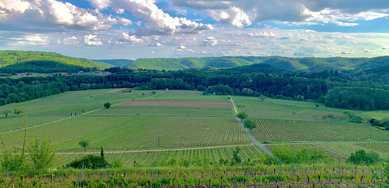 Domaine Lafon - Vin de Cahors