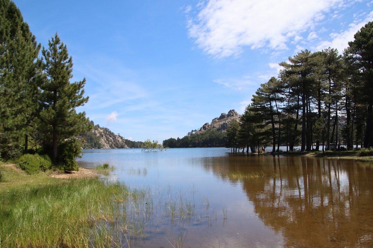 Forêt de l'Ospedale