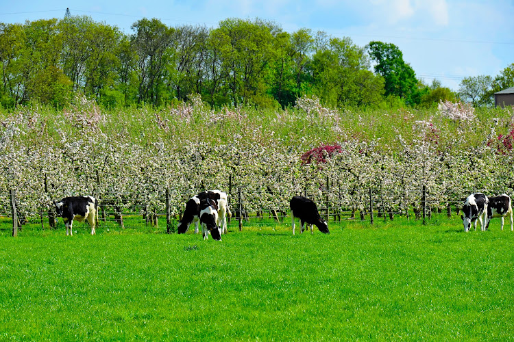 Farm Viltain