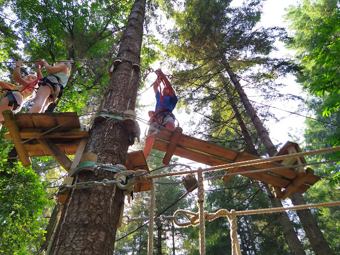 Acroforest