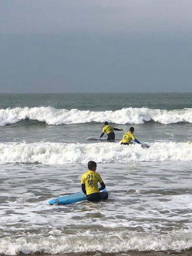 KOA SURF & SKATE SCHOOL