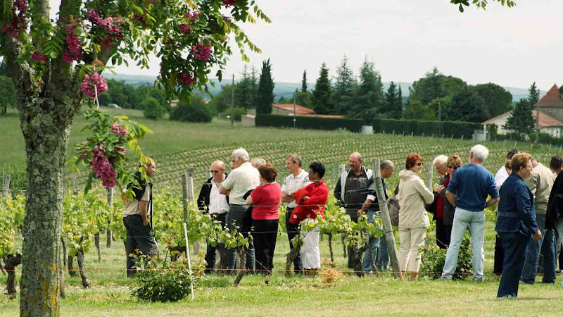 Domaine Rességuier