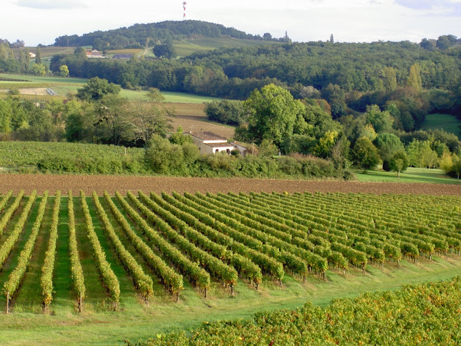 Vignobles Dubard