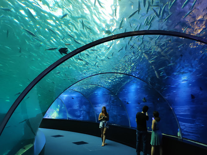Nausicaa Centre National De La Mer