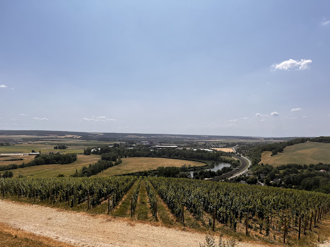 Domaine des Sénons