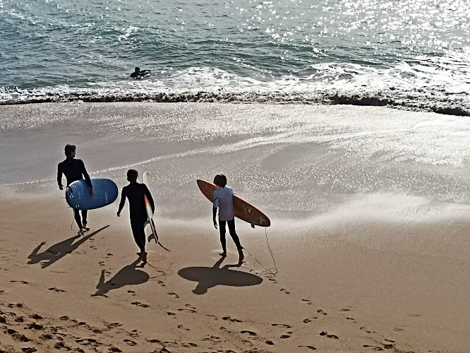 Ecole.Surf - Guide Moniteur Côte Basque & Landes