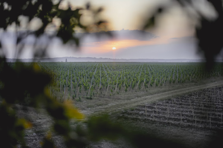 Domaine La Bouche du Roi