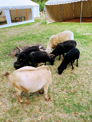 La Ferme St-Lazare – Ferme pédagogique