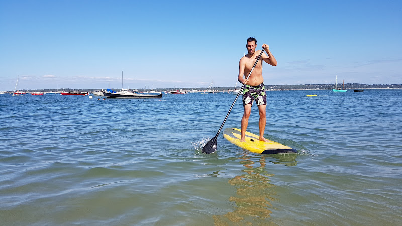 Paddle Cap Ferret