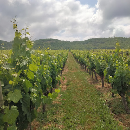 Château Eugénie Grands Vins de Cahors, Famille Couture