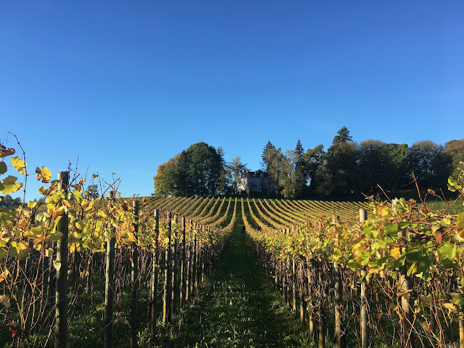 Domaines Michel BOUTIN "Château JOLYS"