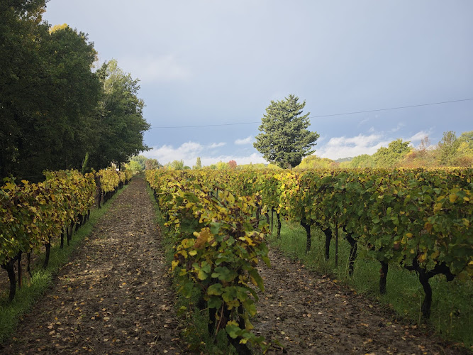 DOMAINE ROZEL