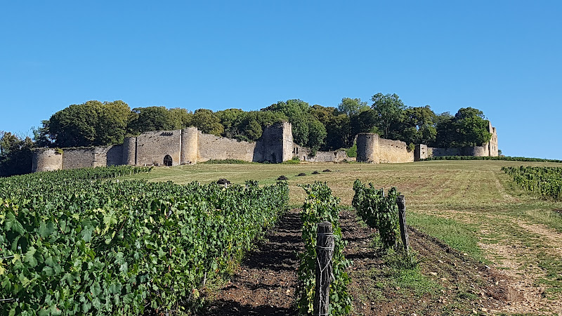 Château d'Arlay - Son Histoire, ses Vins.