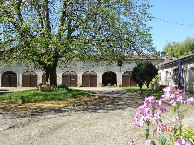 Domaine de Château Guynot