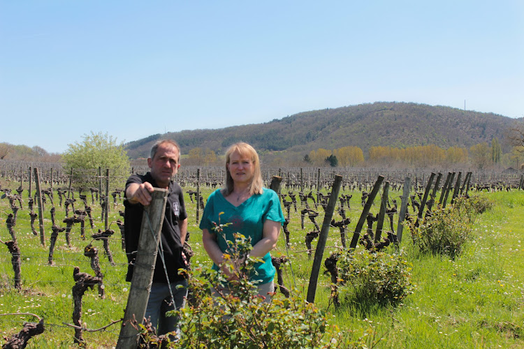 Vignoble Domaine de Chantelle
