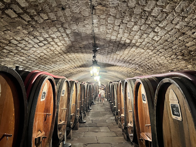 Cave Historique des Hospices de Strasbourg