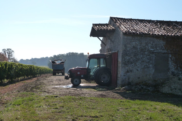 Vignoble Chauraud, Pineau Cognac Vin Cocktail, Guinguette, Gîte