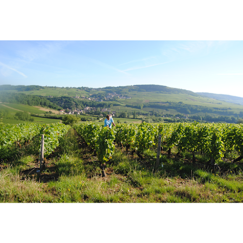 Domaine Du Beauregard