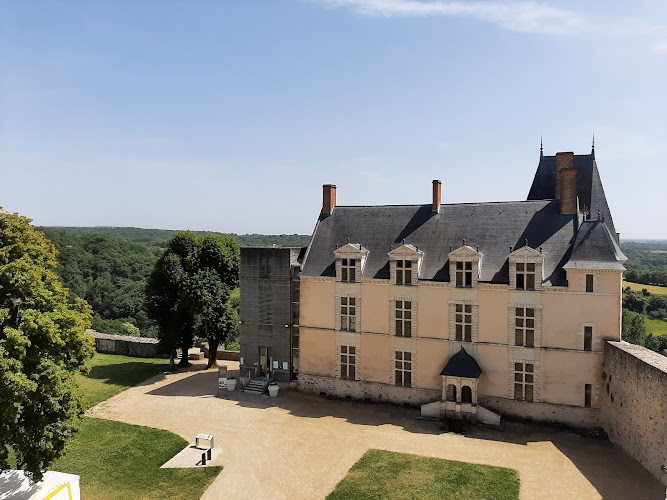 Château de Sainte-Suzanne à Sainte-Suzanne-et-Chammes