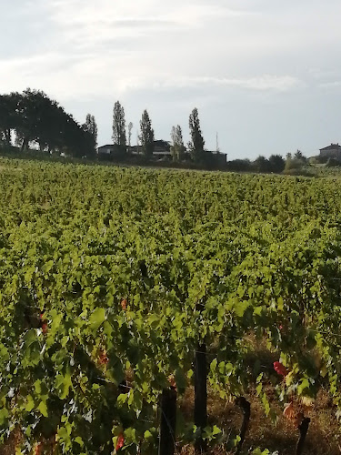Domaine du Pech - AOC Buzet - vin naturel en biodynamie