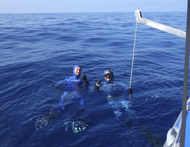 Apnée : Freedive Sud-Ouest
