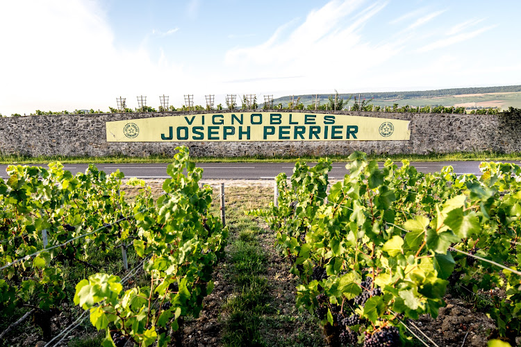 Champagne & caves JOSEPH PERRIER