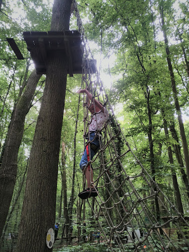 Accrobranche - Parc Salomon - SAINT VALERY / SOMME