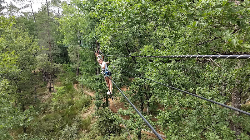 La Forêt des Écureuils