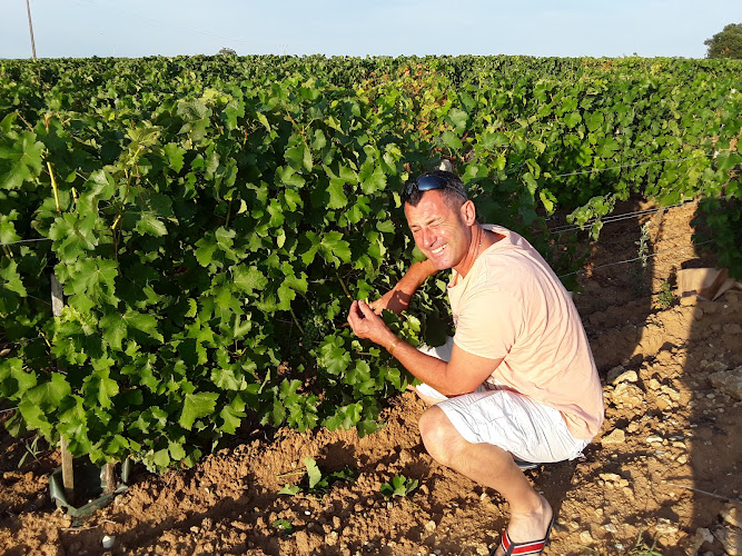 La Cabane au Muscadet