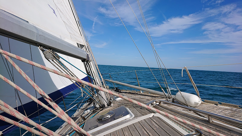 Vivre La Voile