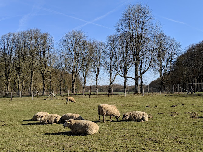 La Ferme de Gally - Ferme pédagogique