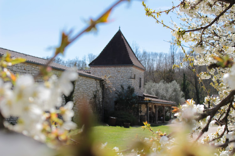 Vignoble Domaine de Chantelle