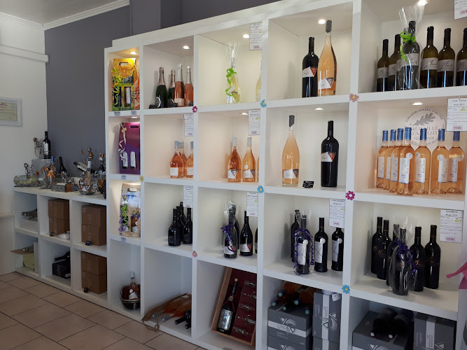 LES VIGNERONS DE LA PROVENCE VERTE