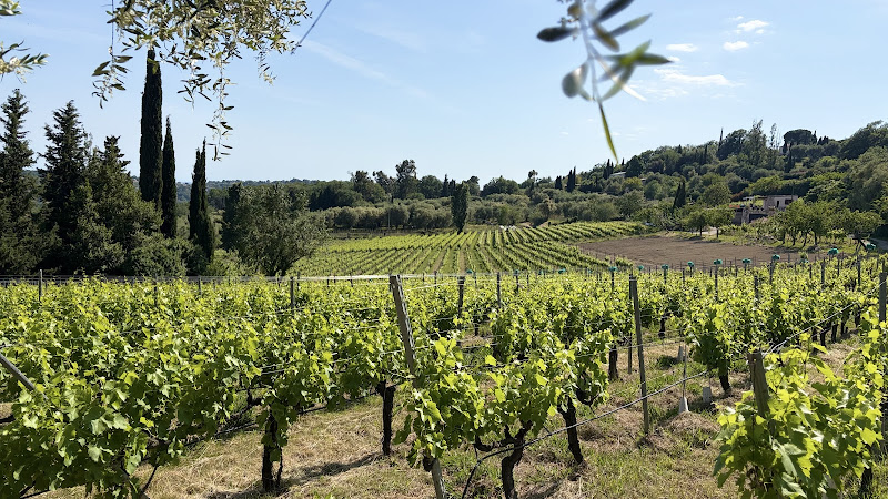 Vignoble Saint Jeannet | Domaine des Hautes Collines