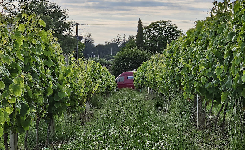 DOMAINE DE LAGAJAN - EARL GEORGACARACOS FILLE ET FILS