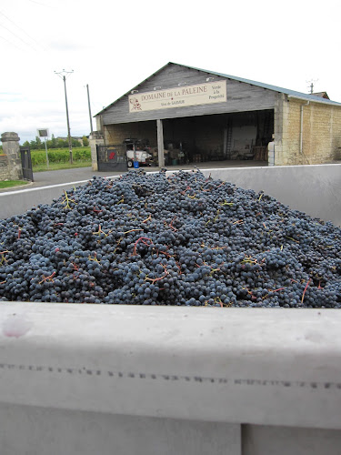 Domaine de la Paleine