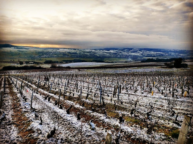 Domaine Du Beauregard