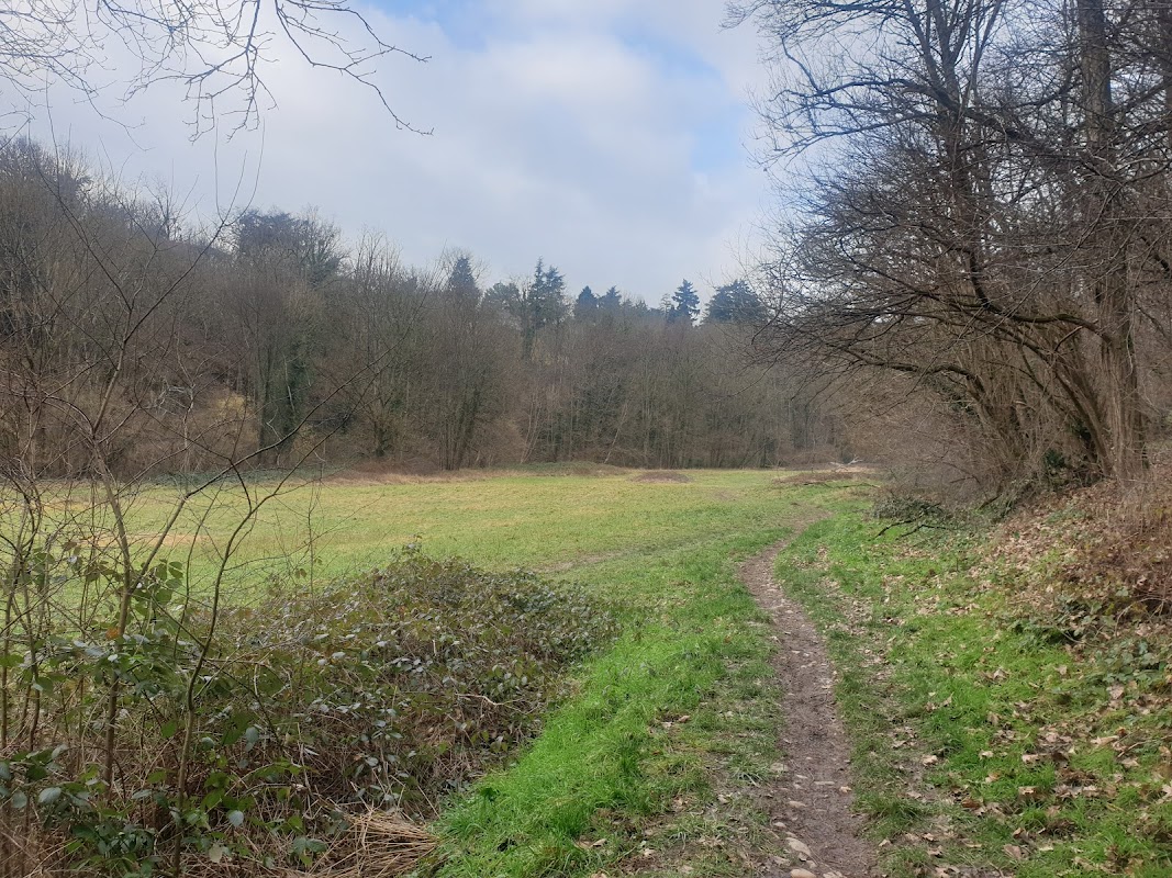 Bois de Serres