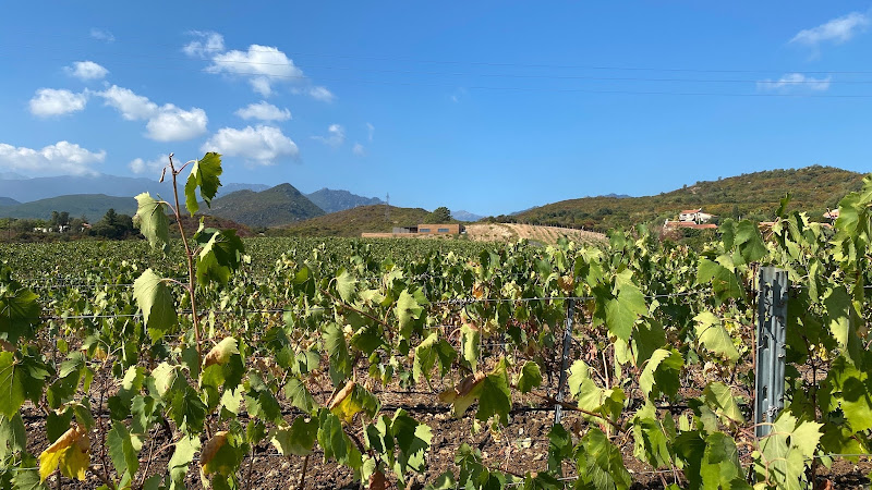 Domaine Mondange