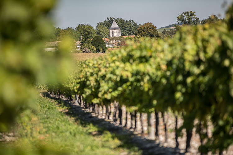 Domaine Fradon