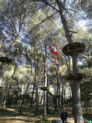 Le Royaume des Arbres - Charleval