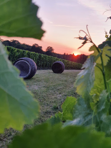 Vignoble Chauraud, Pineau Cognac Vin Cocktail, Guinguette, Gîte