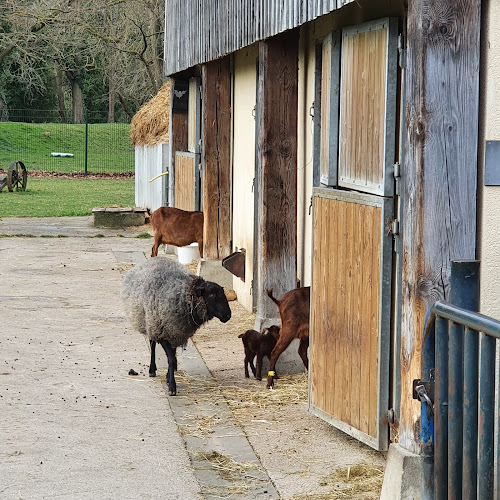 Ferme des Gondoles